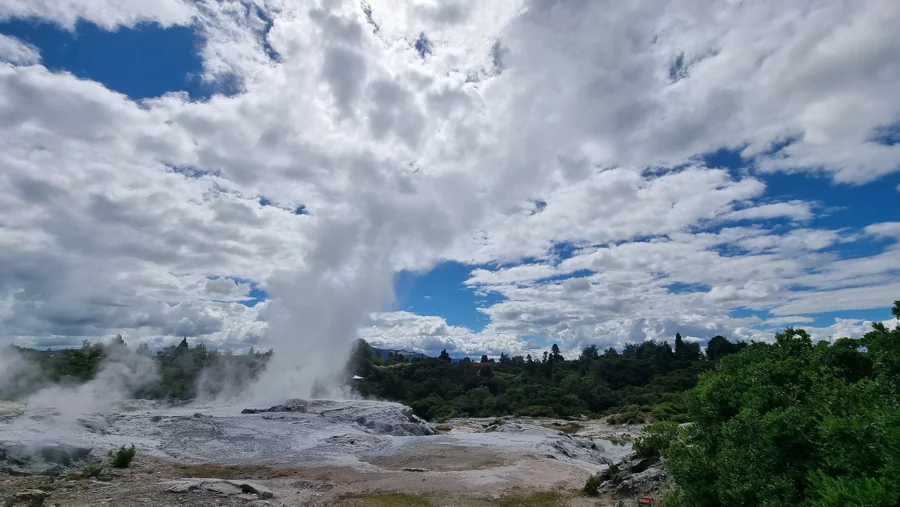 Ein Geysir lässt in Rotorua Dampf in den offenen Himmel aufsteigen.