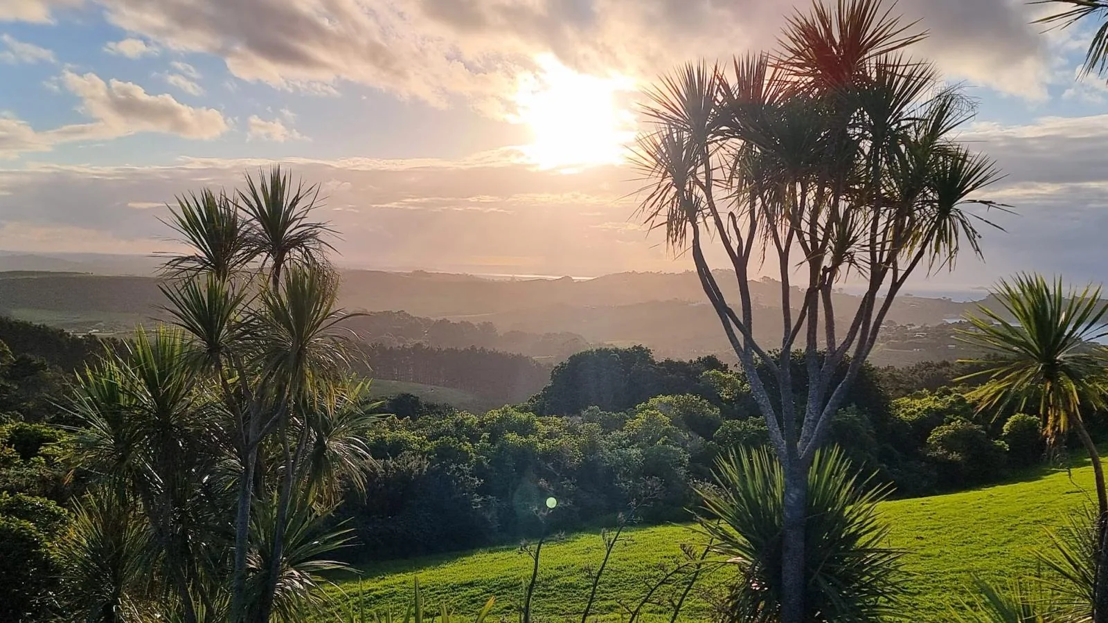 Warmes Abendlicht über Waihekes Kulturlandschaft und fernem Wasser.