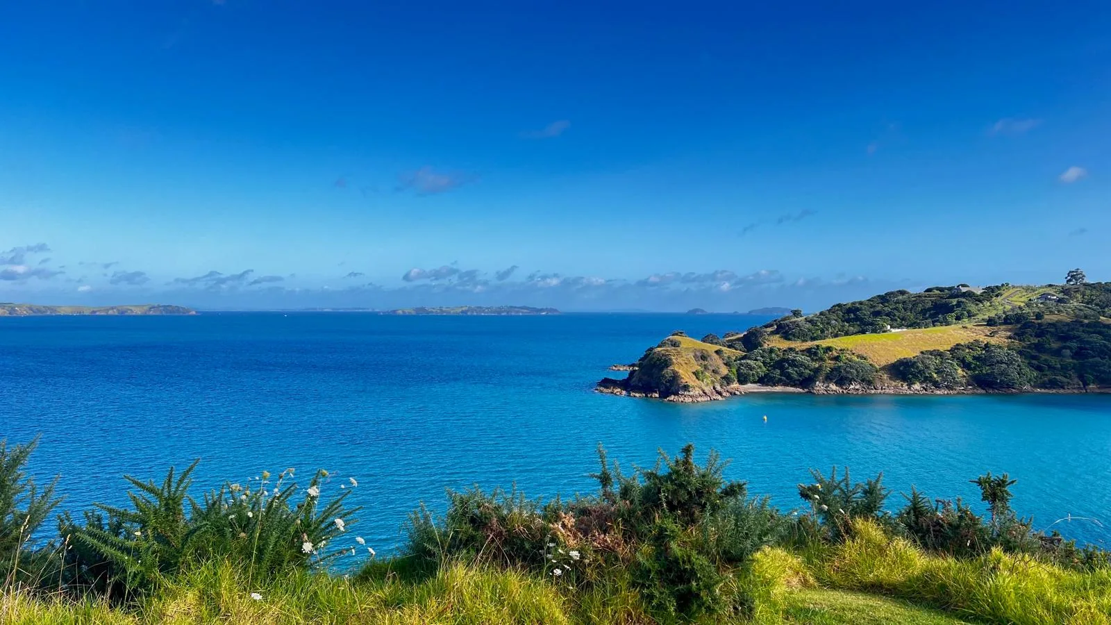 Klares blaues Wasser und eine Landzunge auf Waiheke.