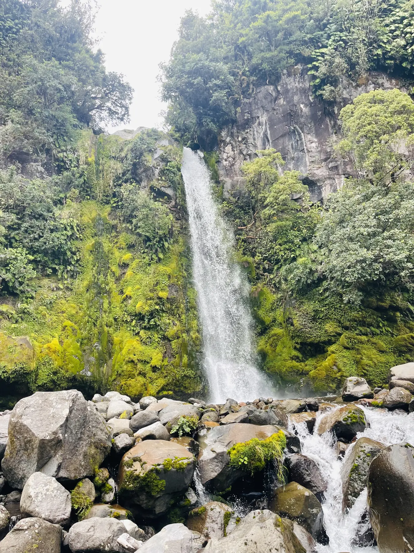 Der Wasserfall Te Rere o Kapuni zwischen begrüntem Fels und Wald in Taranaki.